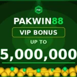 How to Earn Money Online in Pakistan Using Pakwin88