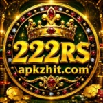 222RS Game Features
